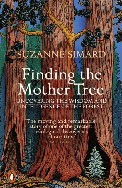 Finding the Mother Tree: Uncovering the Wisdom and Intelligence of the Forest