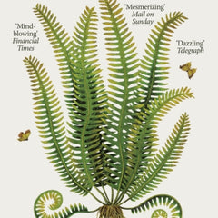 Collection image for: Palaeontology Books
