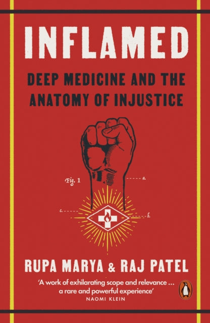 Inflamed: Deep Medicine and the Anatomy of Injustice