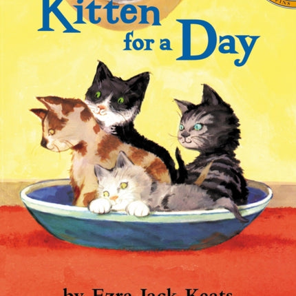 Kitten for a Day