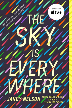 THE SKY IS EVERYWHERE   By Nelson Jandy Author Mar222011  Paperback