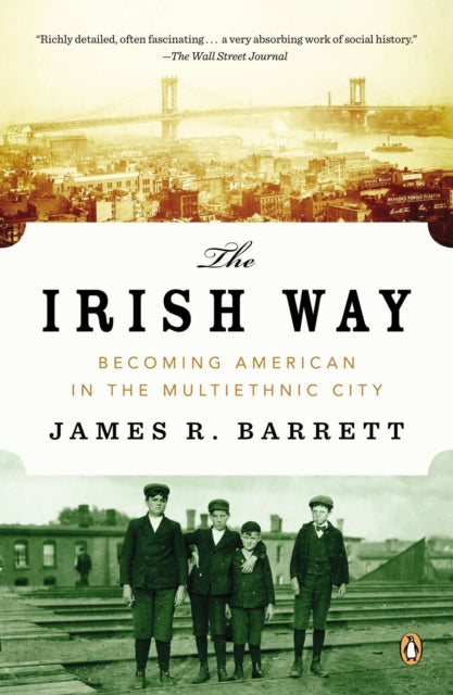 The Irish Way Becoming American in the Multiethnic City Penguin History of American Life