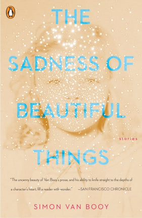 The Sadness Of Beautiful Things: Stories