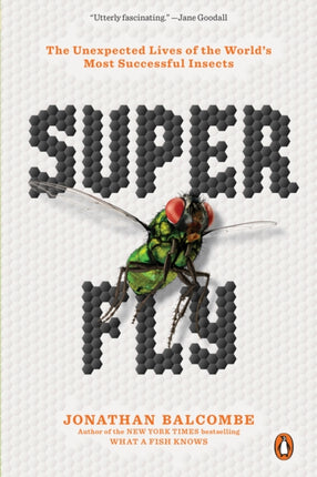 Super Fly: The Unexpected Lives of the World's Most Successful Insects