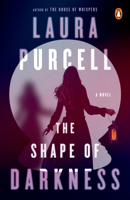 The Shape of Darkness: A Novel