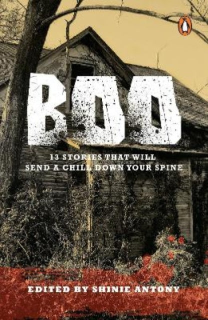 Boo: 13 Stories That Will Send A Chill Down Your Spine