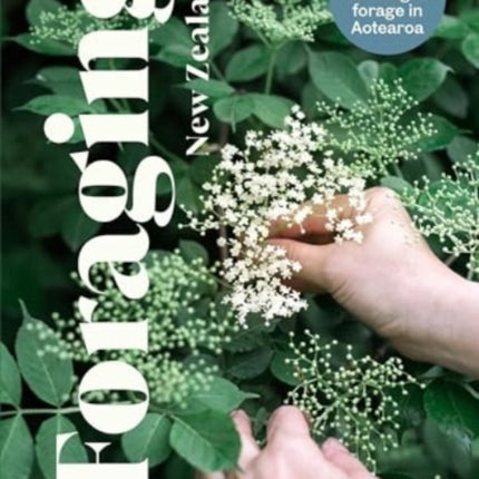 Foraging New Zealand