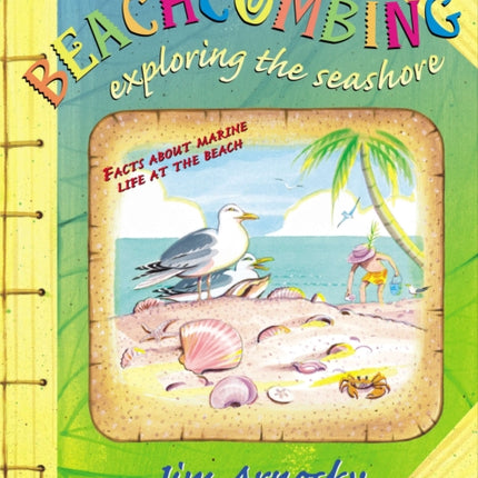 Beachcombing: Exploring the Seashore