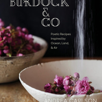 Burdock  Co
