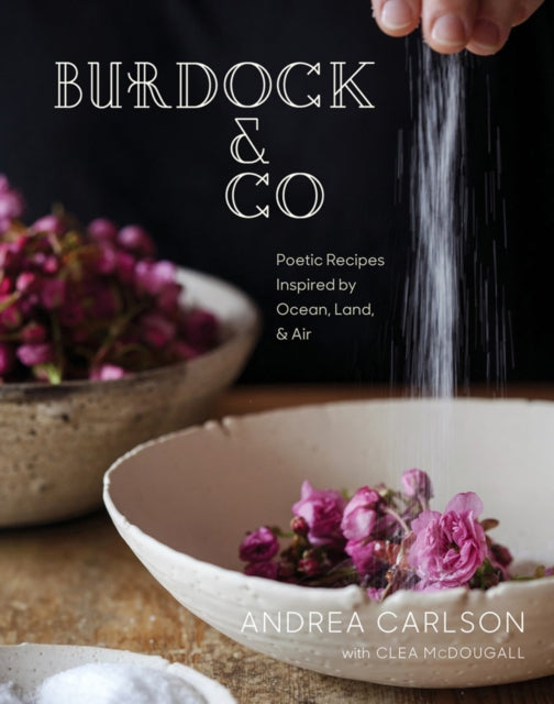 Burdock  Co