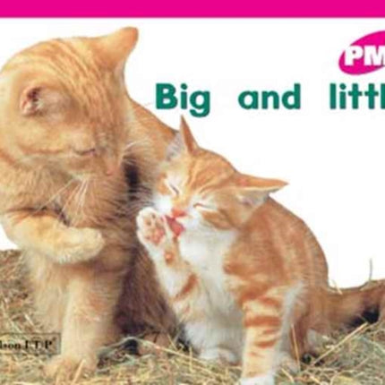 Big and little