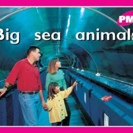 Big sea animals