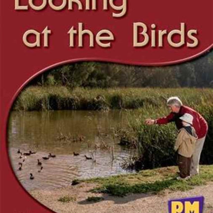 Looking at the Birds PM Science Facts Yellow Levels 89