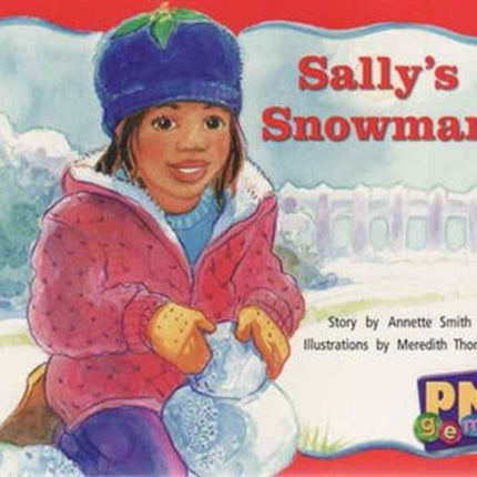 Sallys Snowman