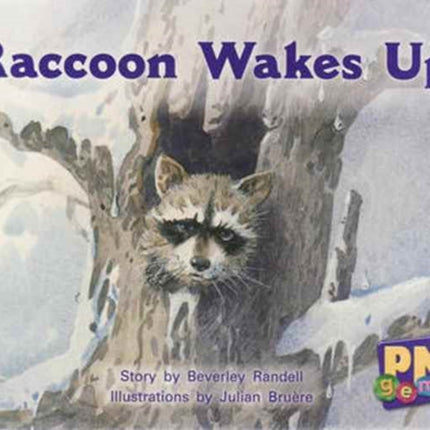 Raccoon Wakes up