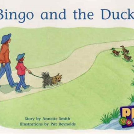 Bingo and the Ducks
