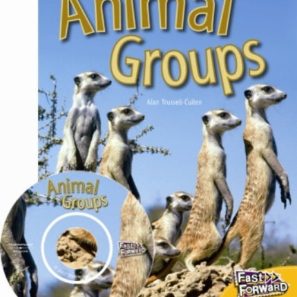 Animal Groups