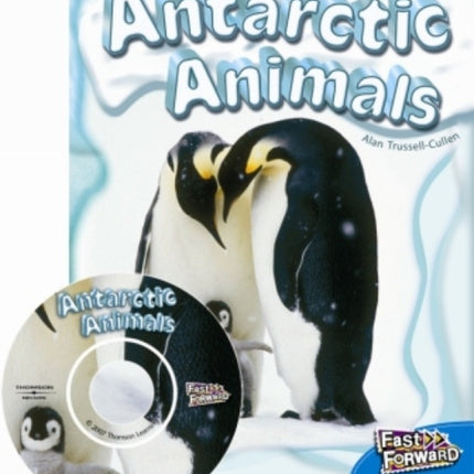 Antarctic Animals