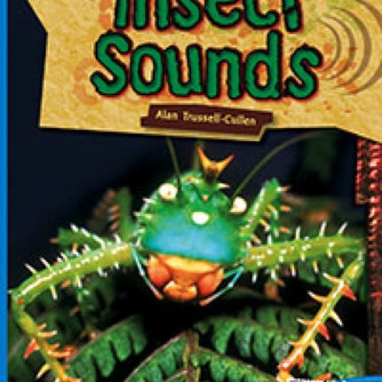 Insect Sounds