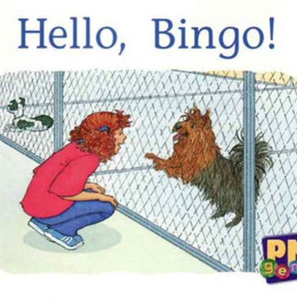 Hello Bingo