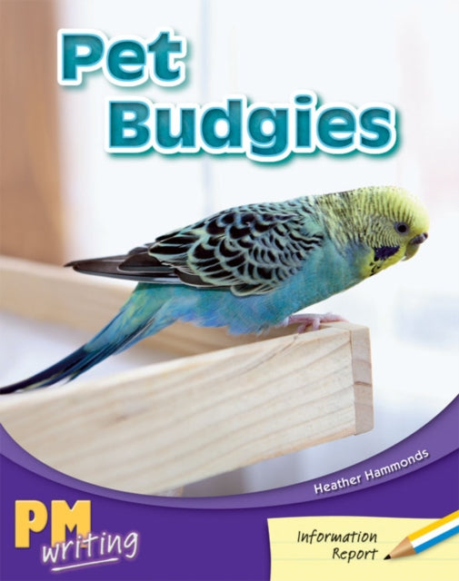 Pet Budgies PM Writing 1 YellowBlue 89