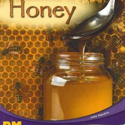 Honey PM Writing 2 TurquoisePurple 1819