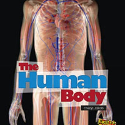 The Human Body