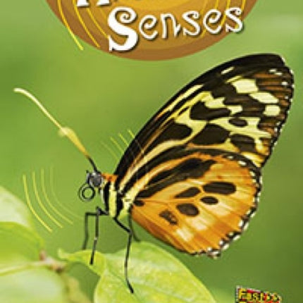 Animal Senses