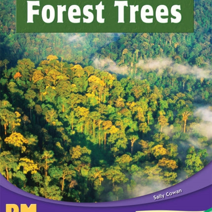 Forest Trees