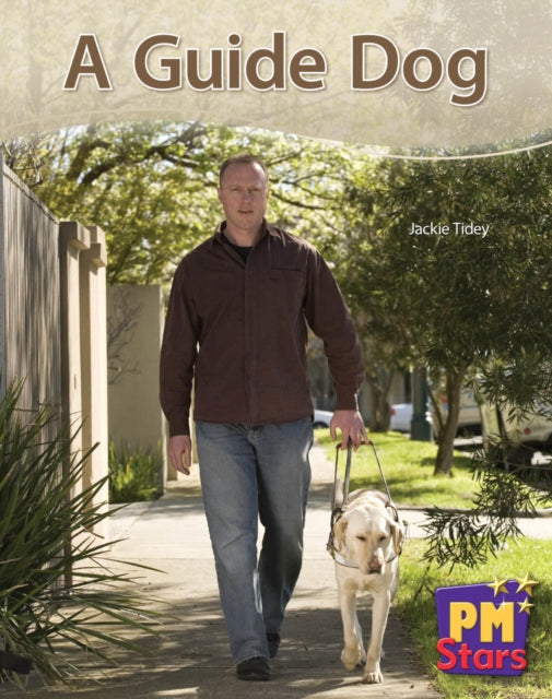 A Guide Dog PM Stars Blue