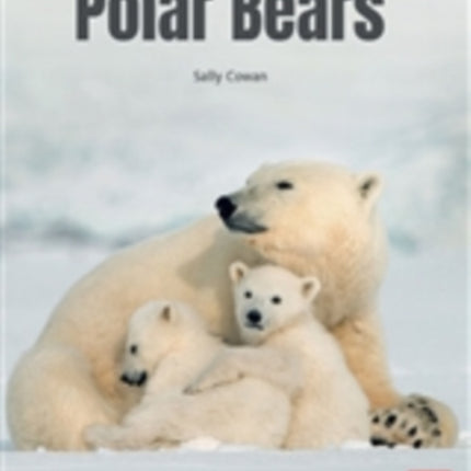 POLAR BEARS