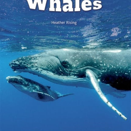 WHALES