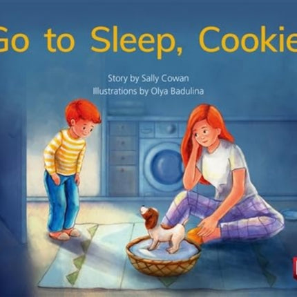 GO TO SLEEP COOKIE