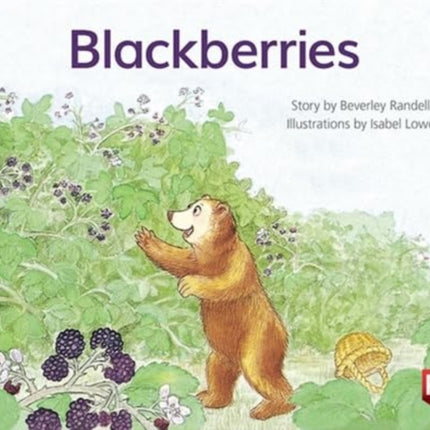 PM YELLOW BLACKBERRIES PM STORYBOOKS LEV