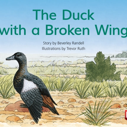 PM BLUE THE DUCK WITH A BROKEN WING PM S