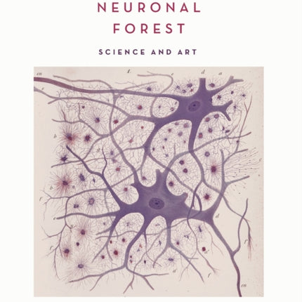 Cajals Neuronal Forest