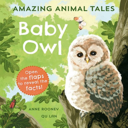 Amazing Animal Tales: Baby Owl