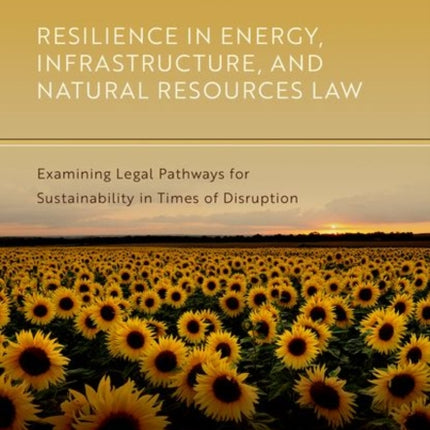 Resilience in Energy Infrastructure and Natural