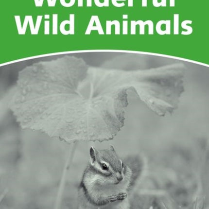 Dolphin Readers Level 3: Wonderful Wild Animals Activity Book