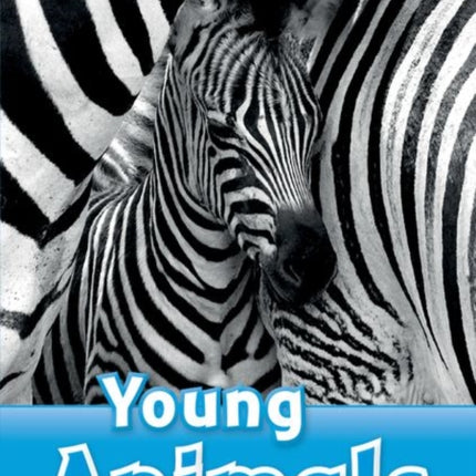 Oxford Read and Discover Level 1 Young Animals