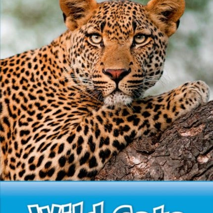 Oxford Read and Discover Level 1 Wild Cats