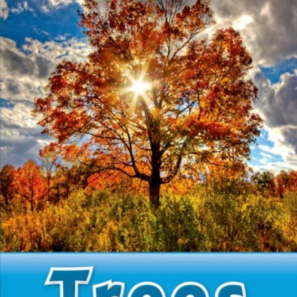Oxford Read and Discover Level 1 Trees