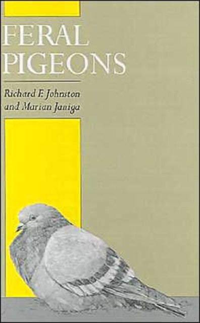 Feral Pigeons