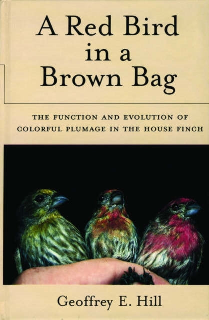 A Red Bird in a Brown Bag