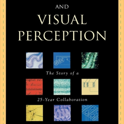 Brain and Visual Perception