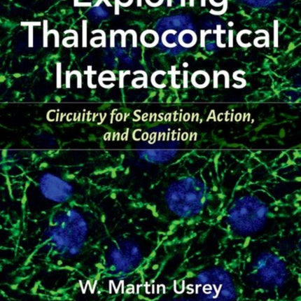 Exploring Thalamocortical Interactions: Circuitry for Sensation, Action, and Cognition