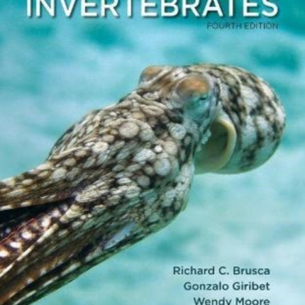 Invertebrates