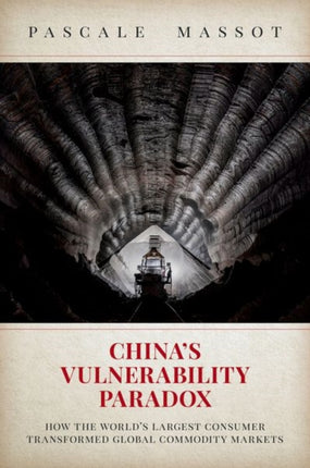 Chinas Vulnerability Paradox