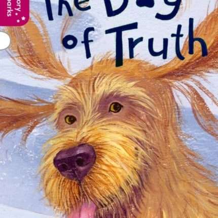 Oxford Reading Tree Story Sparks: Oxford Level 10: The Dog of Truth