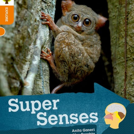 Oxford Reading Tree Explore with Biff, Chip and Kipper: Oxford Level 6: Super Senses